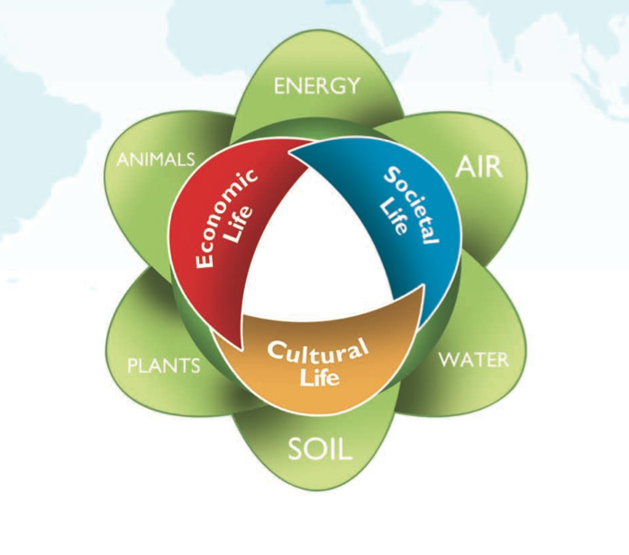 SEKEM - Global Ecovillage Network